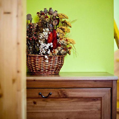 Hotel Penzion Tramky Vikýřovice Екстериор снимка